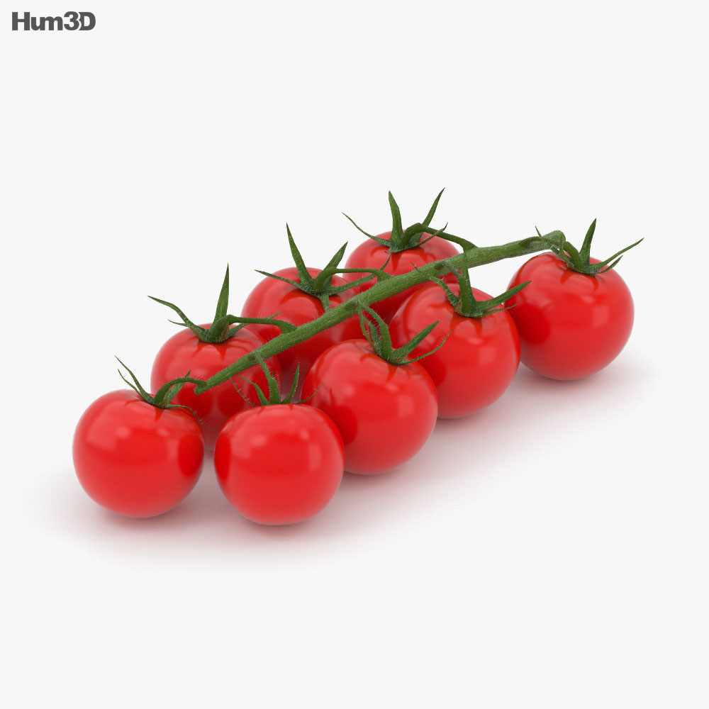 Cherry Tomato 3d model