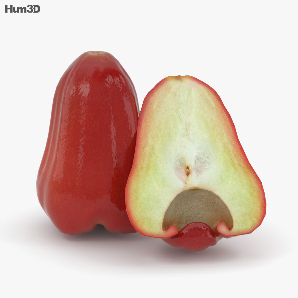 Троянда яблуко 3D модель