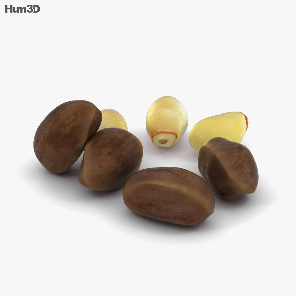 Кедровые орехи 3D модель