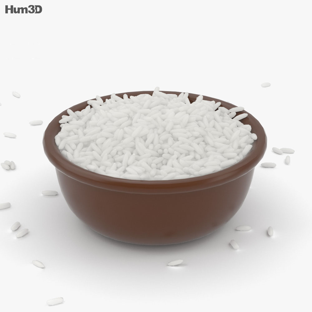 Rice 3d model
