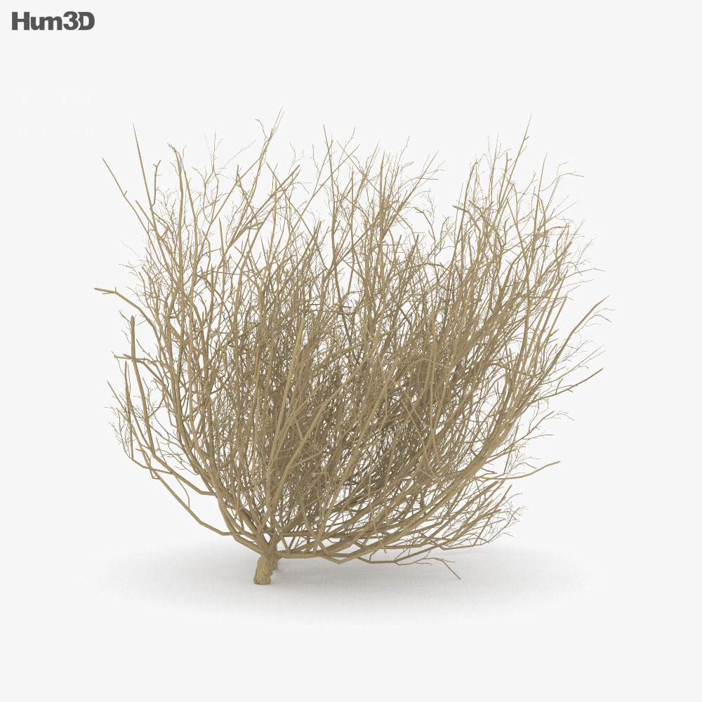 Tumbleweed 3D-Modell
