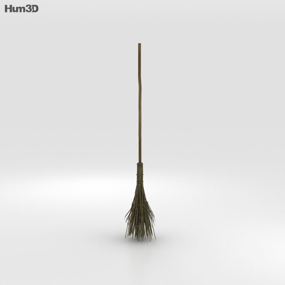 Witch's Broom 3d model